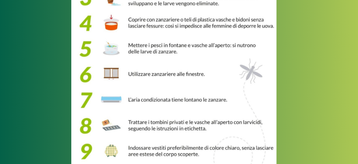 Decalogo Anti Zanzare: 10 Regole Fondamentali per una Prevenzione Efficace