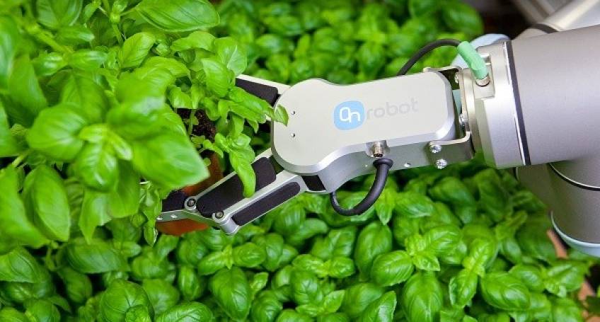 L’automazione al servizio del Food & Beverage con le soluzioni OnRobot