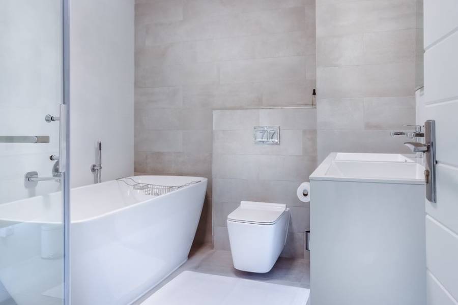 Copertina dell'articolo: Come mantenere pulita e igienizzata la toilette...