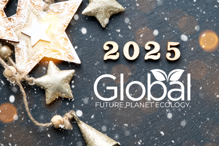Copertina dell'articolo: Benvenuto 2025: Un Nuovo Capitolo