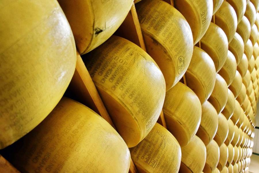 Copertina dell'articolo: IL PALIO DEL PARMIGIANO REGGIANO