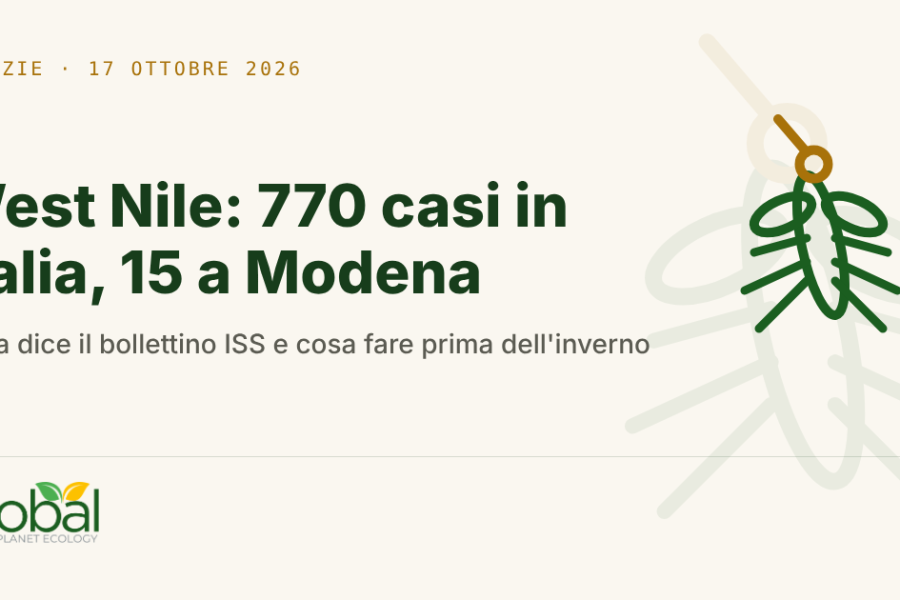 Copertina dell'articolo: West Nile: 770 casi in Italia, 15 a Modena. La lotta alle zanzare non finisce con l’estate