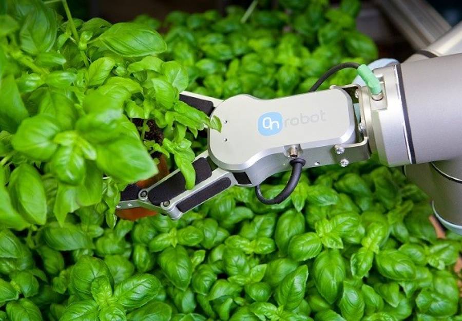 L’automazione al servizio del Food & Beverage con le soluzioni OnRobot