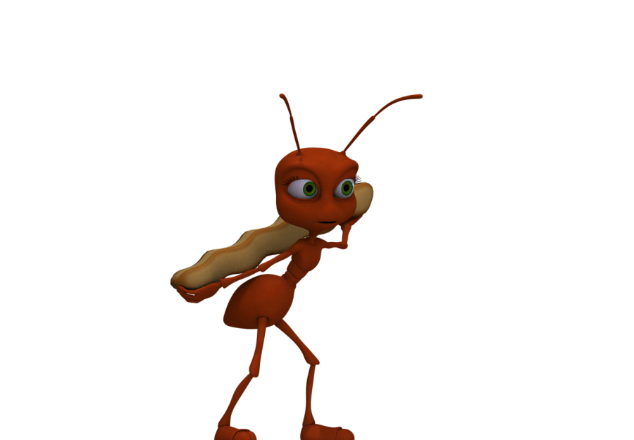 Conosci la pericolosità delle formiche correlata alla filiera alimentare