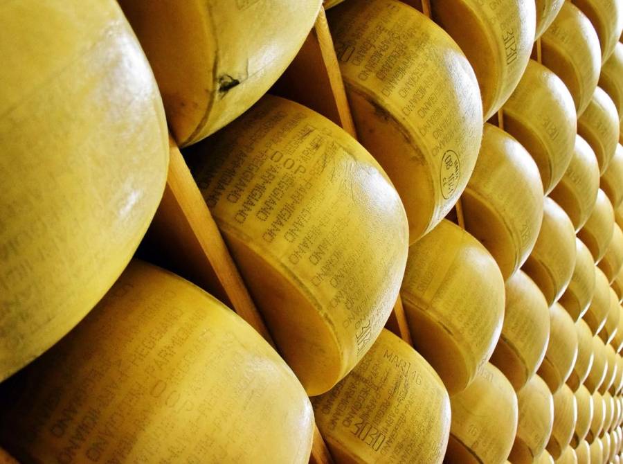 IL PALIO DEL PARMIGIANO REGGIANO