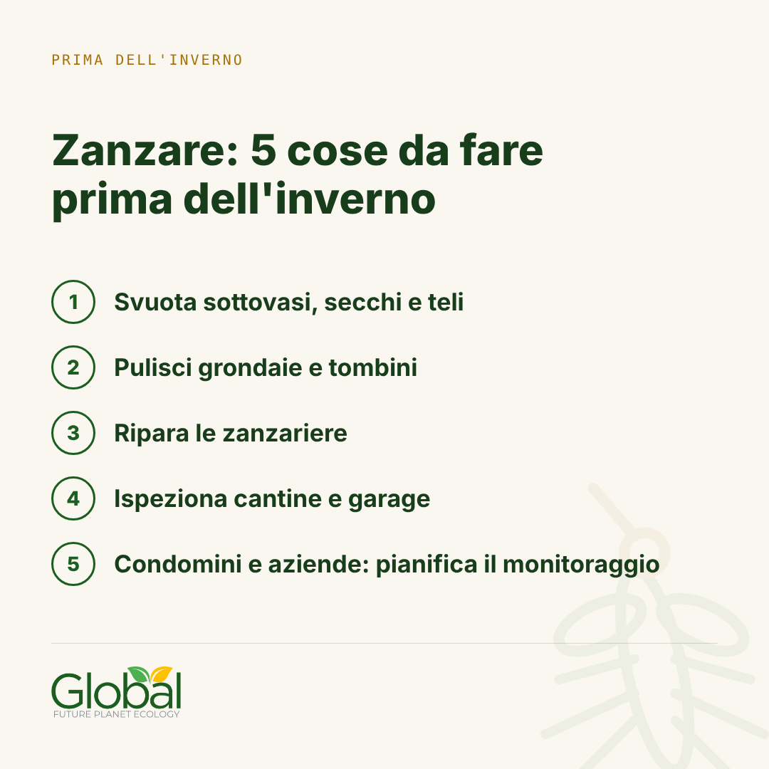 Zanzare: 5 cose da fare prima dell'inverno